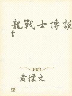 龙战士传说txt