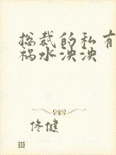 总裁的私有宝贝祸水泱泱封面