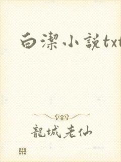 白洁小说txt