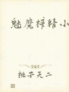 魅魔榨精小说封面