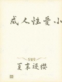 成人性爱小说封面
