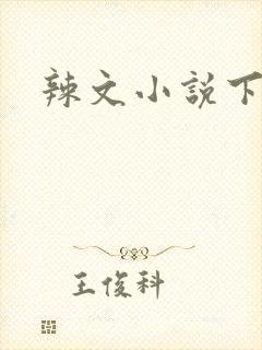 辣文小说下载封面