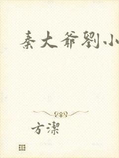 秦大爷刘小静封面