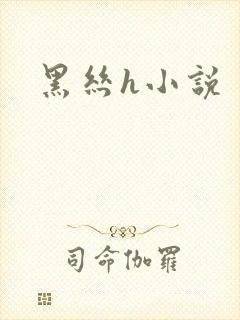 黑丝h小说