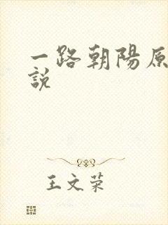一路朝阳原著小说