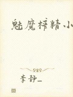 魅魔榨精小说封面