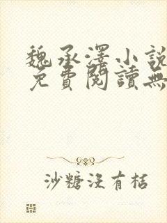 魏承泽小说全文免费阅读无弹窗笔趣