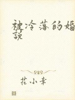 被冷落的婚姻小说封面