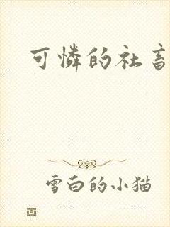 可怜的社畜小说封面