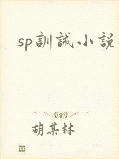 sp训诫小说封面
