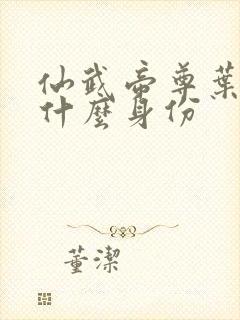 仙武帝尊叶辰是什么身份