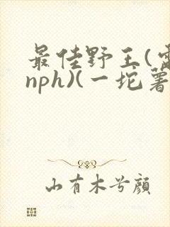 最佳野王(电竞nph)(一坨薯饼)_封面