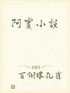 阿宾小说