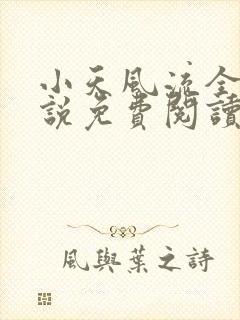小天风流全集小说免费阅读