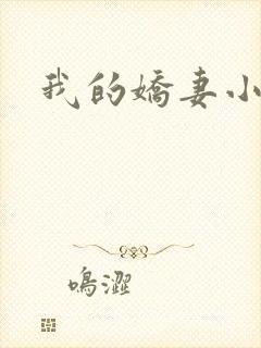 我的娇妻小说