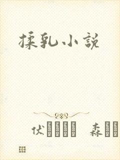 揉乳小说封面