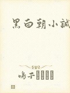 黑白朝小诚封面