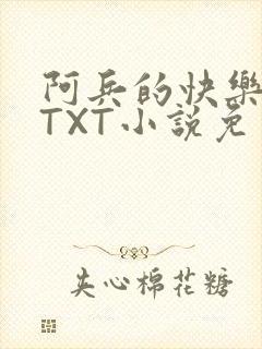 阿兵的快乐生活TXT小说免费阅读全章