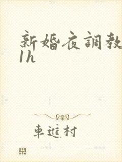 新婚夜调教1v1h