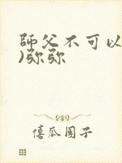 师父不可以(限)弥弥封面