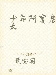 少年阿宾房东太太