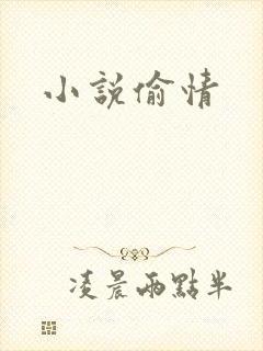 小说偷情