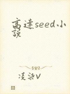 高达seed小说