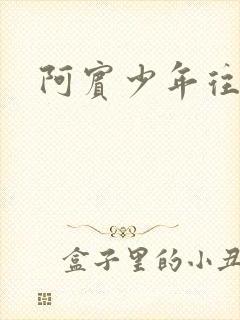 阿宾少年往事封面