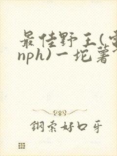 最佳野王(电竞nph)一坨薯饼
