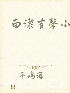 白洁有声小说封面