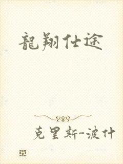 龙翔仕途