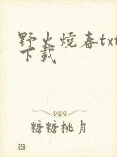 野火烧春txt下载