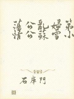 荡公乱妇第1章情公苏雪小说