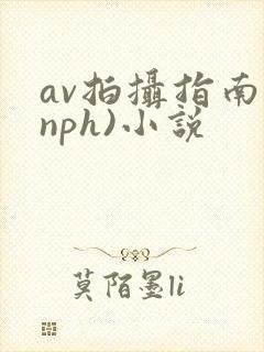 av拍摄指南(nph)小说