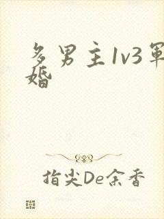 多男主1v3军婚