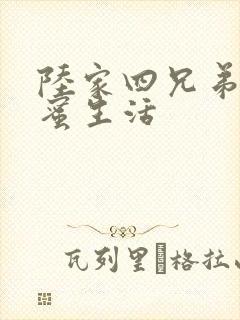 陆家四兄弟的甜蜜生活