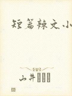 短篇辣文小说