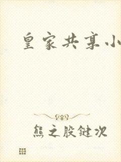 皇家共享小公主封面