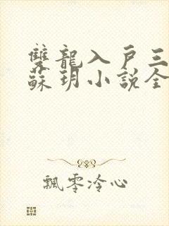 双龙入户三人行苏玥小说全文阅读