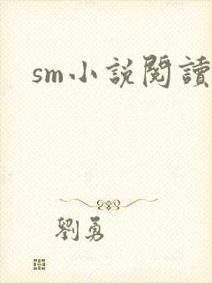 sm小说阅读