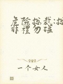 危险总裁:总裁非礼勿碰