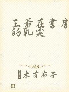 王爷在书房含她的乳尖