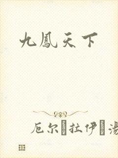 九凤天下