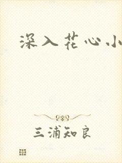 深入花心小说