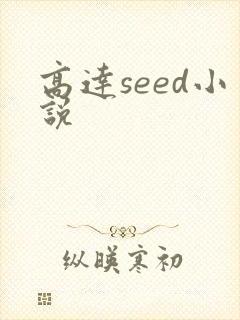 高达seed小说