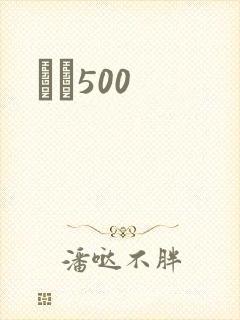 С˵500封面