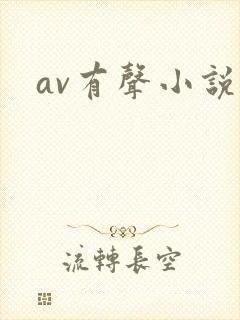 av有声小说封面