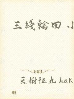 三线轮回 小说封面