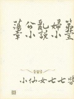 荡公乱妇第51章小说小莹封面