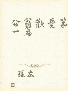 公翁欢爱第三十一篇